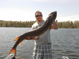 Fish caught at Balsam Beach Resort, Bemidji, MN.